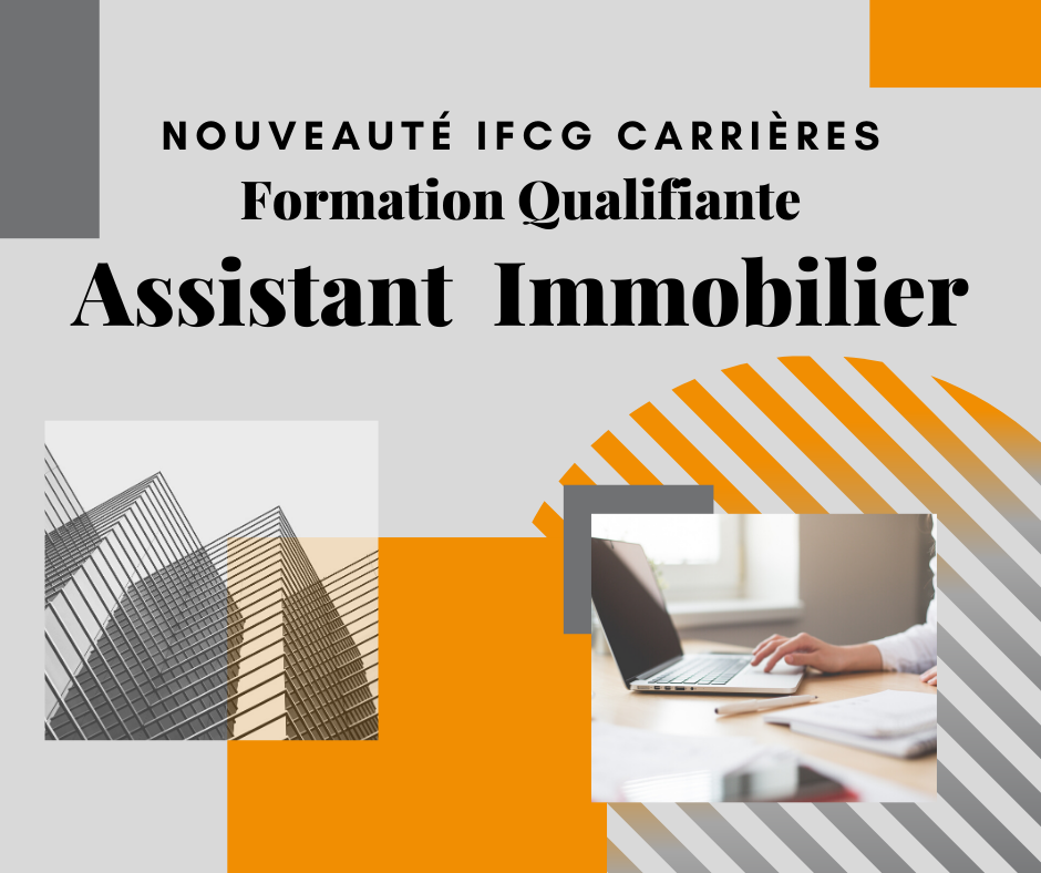 Publication TP Assistant Immobilier